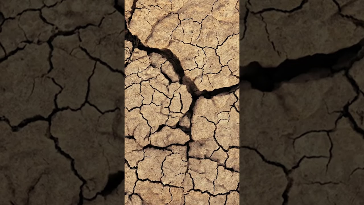 The Power of Tectonic Earthquakes: How They Form and Why They Matter