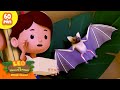 The Baby Fruit Bat Is Injured Scary Animals Leo The Wildlife Ranger Kids Cartoon