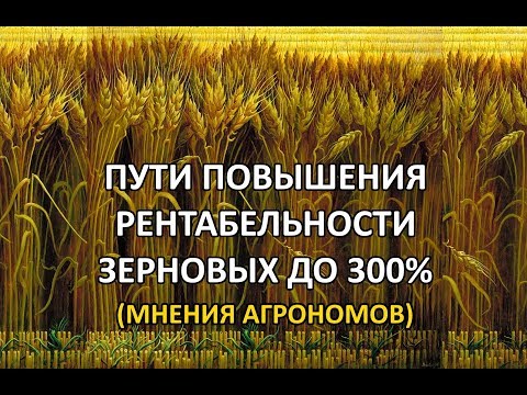 , title : 'Рентабельность зерновых 300%'