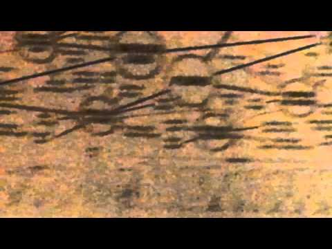 download lagu mp3 mp4 Aqualand Map, download lagu Aqualand Map gratis, unduh video klip Aqualand Map