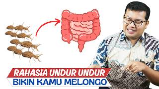 Download lagu UNDUR-UNDUR! BENARKAH BERMANFAAT UNTUK KESEHATAN ? FAKTA TERLENGKAP - DOKTER SADDAM ISMAIL mp3