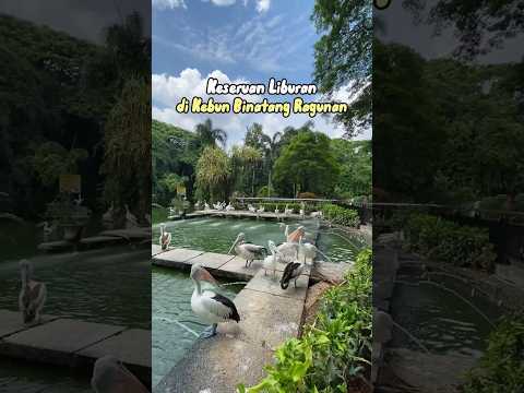 📍Kebun Binatang Ragunan, Jakarta Selatan #wisatajakarta #explorejakarta #ragunan #ragunanzoo
