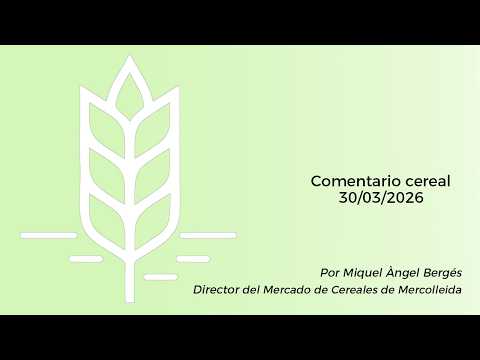 Comentario cereal - 30/03/2026