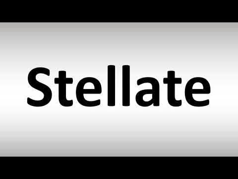 How to Pronounce Stellate