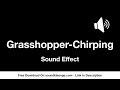 Grasshopper Chirping (Soundeffect)
