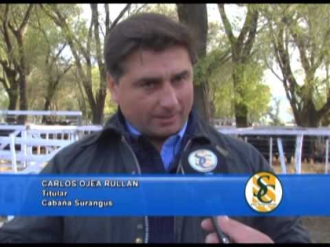 CARLOS OJEA RULLAN - Cabaña: Surangus - Las Blancas - La Fe - Huanguelen - 02/10/2013