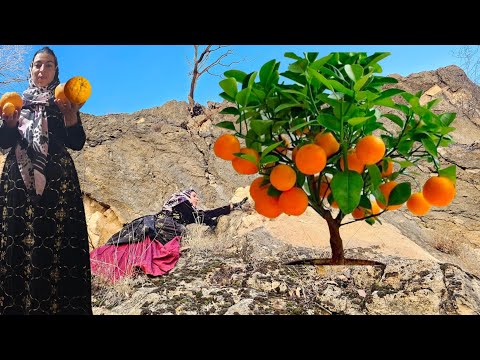 Khadija's dangerous journey in difficult conditions to provide food for her children