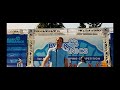Marmaduke Introducing Dog Surfing