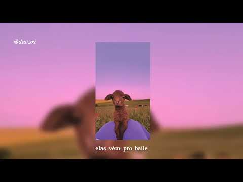 Dj Gabriel do Borel e Scarp - Elas vem pro Baile - speed up ..davi.sxi