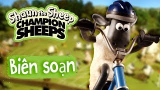 Biên tập  Tập đầy đủ  Championsheeps  N