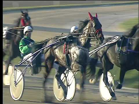 Trotto 17/11/2017 - 2ª corsa