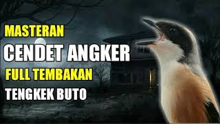 Download lagu MASTERAN CENDET ANGKER FULL TEMBAKAN TENGKEK BUTO mp3