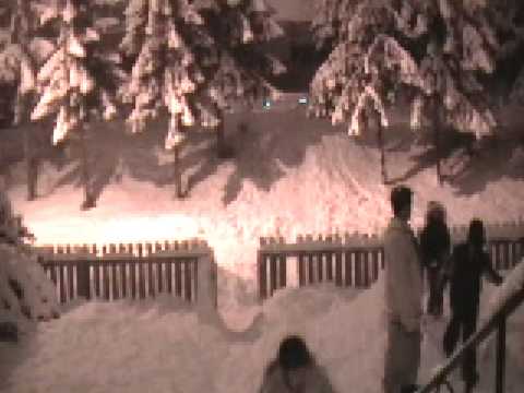 Third World Crew - Selen No Staka