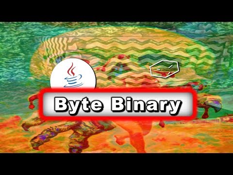 print byte binary in java
