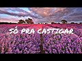 Wesley Safadão- Só pra castigar- (Lyric Vídeo) 30s Wesley Safadão- Só pra castigar- (Lyric Vídeo) 30s