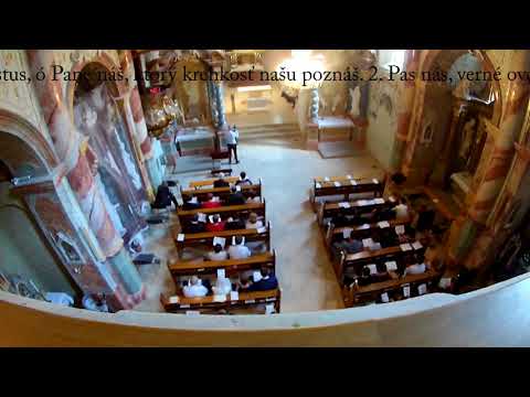 JKS 481 - Daj nám lásku k svojmu slovu (ein altes Lied)