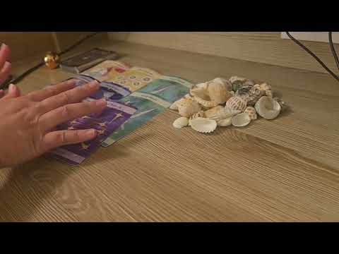 The meeting...#HughJackman #TaylorSwift #RyanReynolds #BlakeLively #JustinBaldoni back 2 beggining