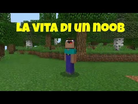 La vita di un Noob