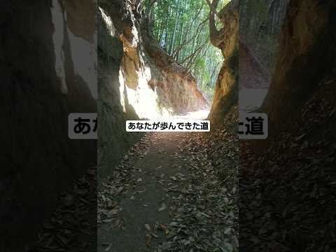 社会福祉学科 誰かと歩んできた道