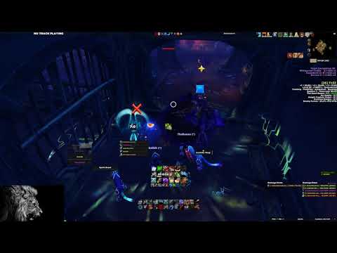 197K DPS | Tol Dagor +26 Teeming Fortified | Beast Mastery Hunter PoV