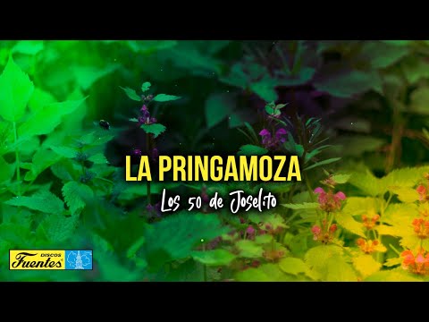 La Pringamoza - Los 50 de Joselito (Video Letra) | Discos Fuentes