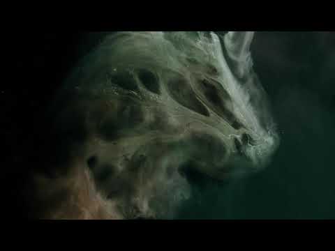 Motion // Soundethers // Demo // Courtney's Mood