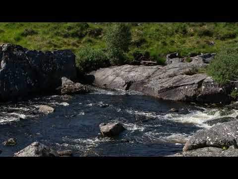 Savage Mansion - 'Life More Abundant' (Official Video)