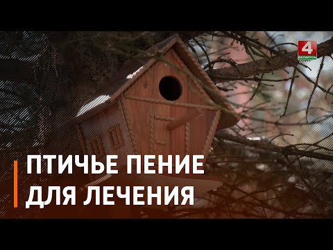 В областном госпитале инвалидов ВОВ появился микрорайон «Птичь» видео