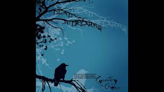 Houston Calls - Einstein on a Beach (Counting Crows Cover)