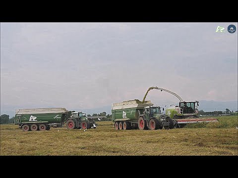 Claas Jaguar 980 (498) & 3 Fendt + Ravizza - Agromeccanica Agliardi - Trinciatura segale 2023