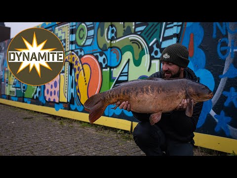 Mike Bridges Carp Fishing Season on The Wharf with Hot Crab & Krill Boilies