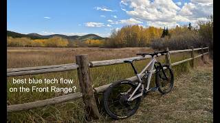 Mule Deer (clockwise) - Golden Gate Canyon State Park - Golden - Colorado