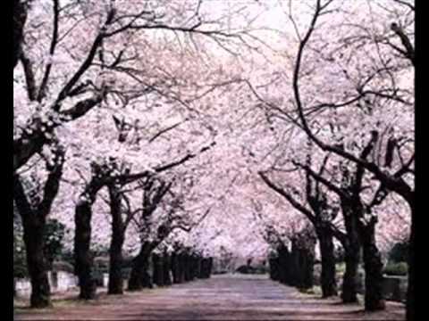 Hmong Christian Song: Yog Piskig Es Koj Sawv