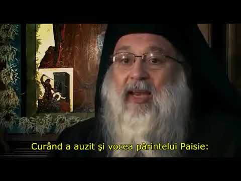 Cuviosul Paisie Aghioritul- Întoarcerea în Muntele Athos- IV
