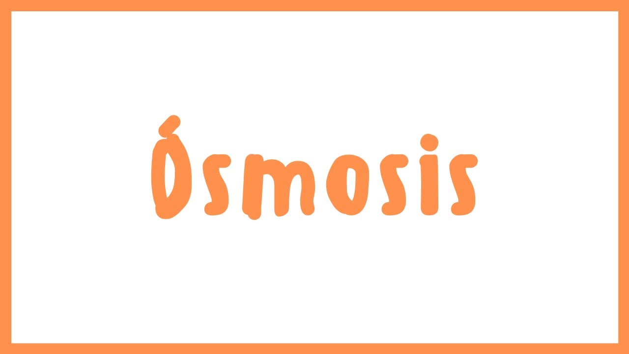 FISIOLOGÍA | Ósmosis | Blasto Med