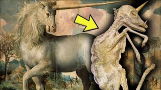 Scientists Have Found Fossils That Prove Unicorns Existed   But They Were Actually Pretty Terrifying