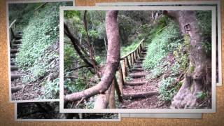 preview picture of video 'Levada do Castelejo - Walking in Madeira'