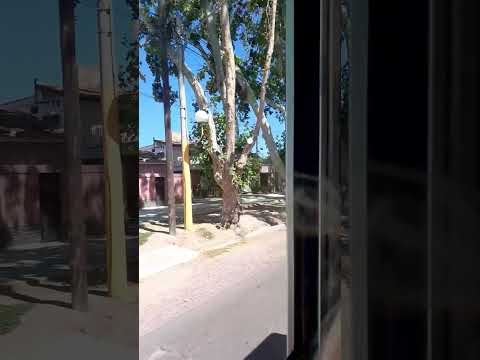 Ver9440, Carril San Martin, Lujan, Mendoza, Argentina 2026