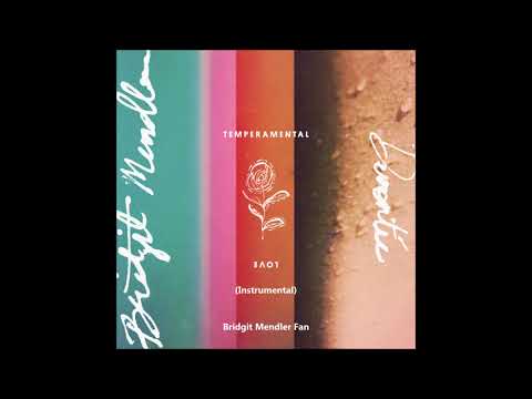 Bridgit Mendler x Devontée - Temperamental Love (Leaked instrumental)