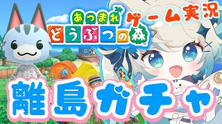 【ゲーム配信】あつまれどうぶつの森 ┊離島ガチャ！推しに出会えるかな！？【猫島ちくわ/個人VTuber 】#acnh　#あつまれどうぶつの森  #あつ森vtuber