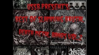 Download lagu USSB Present's Best Of Slamming Brutal Death Metal Bands Vol.2 mp3 Download lagu USSB Present's Best Of Slamming Brutal Death Metal Bands Vol.2 mp3