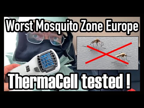Mosquito killer in action : Thermacell TEST in Nature : How effective on a scale 1-10?