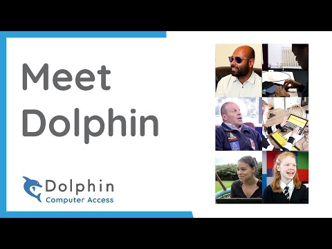 Meet Dolphin