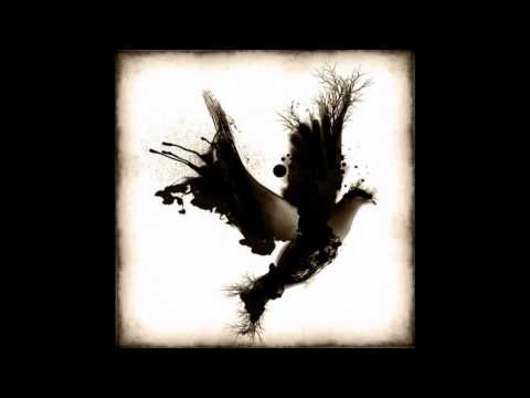 Black Dove video thumbnail