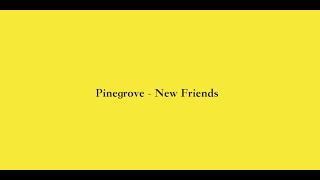 Pinegrove - New Friends (Tour Video)