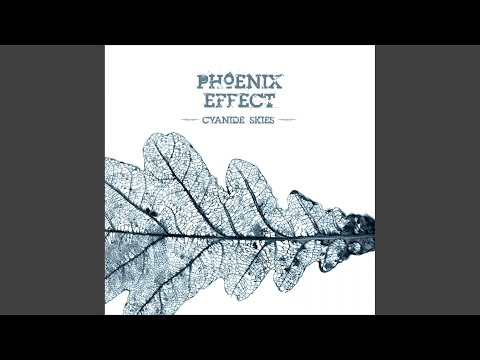 Carry Me - Phoenix Effect