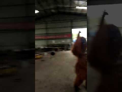 Monkey Baboon Dancing