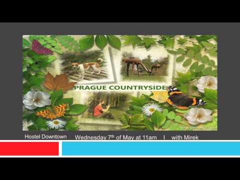 Hostel Downtown's activities from 5.-11.5.