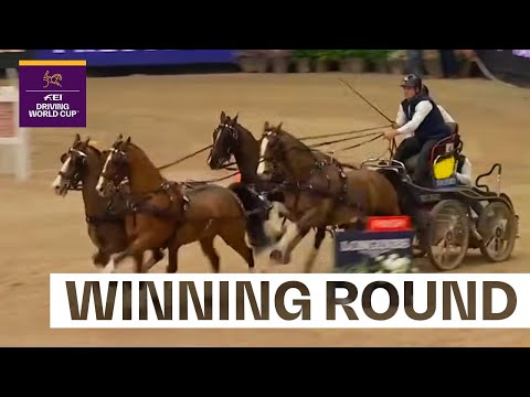 Two flawless rounds from Dries Degrieck! 🙌🏎️ |  FEI Driving World Cup™ Leipzig 2026