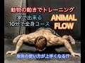 １回10分アニマルフローで身体の様々な機能を強化[Animal Flow]